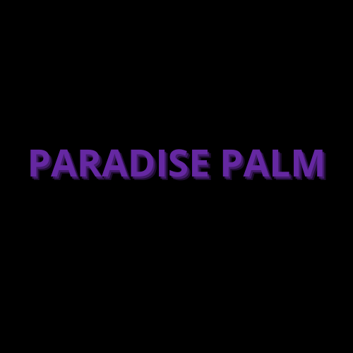 ParadisePalm